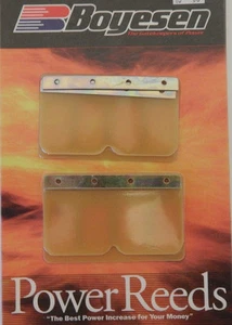 Boyesen Snowmobile Reeds (548E) Arctic Cat Crossfire/Sno Pro/Saber Cat/F Cat - Foto 1 di 1