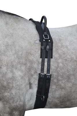 Longiergurt -Canvas- mit Doppelgriff schwarz  navy/sky blue  navy/passion pink - Bild 1 von 4