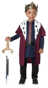 Renaissance Little King Royal Toddler Costume - Picture 1 of 3