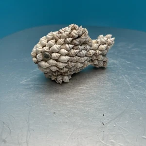 Kitschy Vintage Seashell Art Fish Sculpture Figurine V110 - Picture 1 of 7