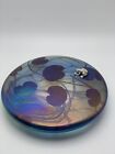 John Ditchfield Signed Art Glass Silver Frog Lily Pad  Paperweight