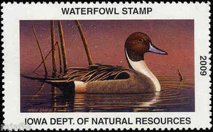 IOWA #38 2009 STATE DUCK STAMP PINTAIL by Mark Kness - Picture 1 of 1