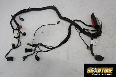 11-17 VICTORY HIGH BALL MOTOR SUB CABLEADO ARNÉS Foto 1 de 4