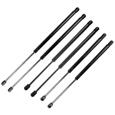 For 2001-2006 Hyundai Santa Fe 6x Hood+Window+Tailgate Lift Supports 4175 Foto 1 de 4