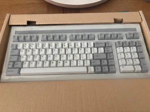 WYSE ASCII, US/UK Terminal Keyboard (901867-01) New In Box A Rare Piece - Afbeelding 1 van 7