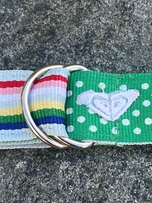 Roxy Ribbon Belt Double Sided Reversible D-Ring Embroidered Logo Rainbow Green - Image 1 of 4