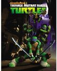 Teenage Mutant Ninja Turtles Rise Of The Turtles Dvd Sean Astin Jason Biggs