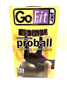 GoFit Pro Grade Stability Core Ball + DVD + Pump - 65CM 1200lbs commercial NOB - Picture 1 of 8