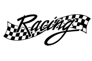 Automotive Sticker JDM Die Cut Vinyl Decal Stickers Racing Turbo Drift Slammed - Picture 1 of 7