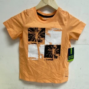 DSG Youth Graphic Tee Fresh Melon Palm Tree Chk DAB21108 BRAND NEW - Picture 1 of 5