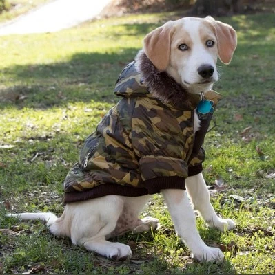 Parka de esquí metálica Pet Life abrigo de camuflaje para perro GRANDE Foto 1 de 4