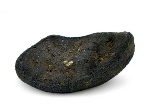 0.81g AGUAS ZARCAS Oriented Meteorite I Carbonaceous Chondrite CM2 TOP METEORITE - Picture 1 of 6
