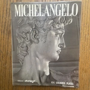 MICHELANGELO PAINTER-SCULPTOR-ARCHITECT 104 COLOURED PLATES 1987; 111 Pg Book - Imagen 1 de 15