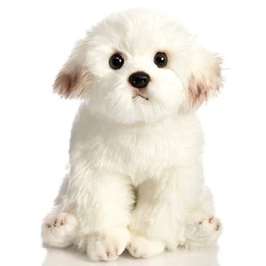 Maltese Bichon Frise Puppy Dog 14 Inch Stuffed Animal Plush Toys Doll Kids Gifts - Picture 1 of 6