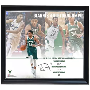Giannis Antetokounmpo Milwaukee Bucks 2019 Nba Mvp NBA Print Framed - Foto 1 di 1