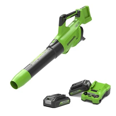 48V (2x24V) Akku Laubbläser 217 km/h Greenworks GD24X2ABK2x mit (2)x2Ah Batterie - Bild 1 von 4