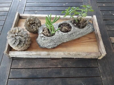 Plateau bois de ferme: ancienne mangeoire poules pigeons / centre de table - Photo 1/4