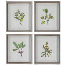 Wildflower Study Botanical Prints Flower Framed Wall Art Set ~ Uttermost 41461