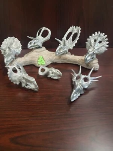 4 Miniature Dinosaur skulls, Ceratopsians - Picture 1 of 12