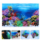 Landscape Backdrop Underwater Poster Turtle Stickers Ocean Decorate