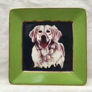 Square C. WONDER Decorative Dog Plate Golden Retriever Green Border - Picture 1 of 7