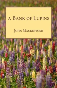 A Bank of Lupins by John Mackintosh - Picture 1 of 2