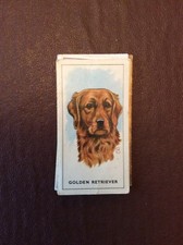 T2-1a Trade Card G P Tea Dogs Heads No 23 Golden Retriever