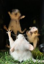 🐁  Taxidermy Mice Horror Monster Graveyard Scene Diorama Lighting 🐭
