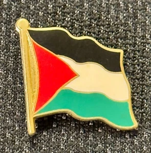 Vintage  MILITARY PIN  Palestine  FLAG    B1-2 - Picture 1 of 1