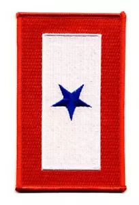 Blue Star Son in Service Patch - Bild 1 von 1