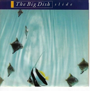 THE BIG DISH / SLIDE / REVEREND KILLER / 7" VINYL W/PIC SLEEVE - Picture 1 of 3