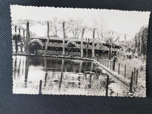 CPSM 32 ESTANG - Le Bassin du Pesque - Les Arènes - Imagen 1 de 2