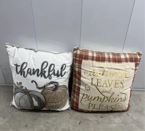 2 Thankful 20” Embroidered Pillow & Gourds Pumpkin - Smoke & Pet Free Home - Picture 1 of 1