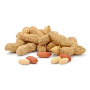 50 SEMILLAS DE MANÍ FRESCAS "ARACHIS HYPOGAEA" - Imagen 1 de 1