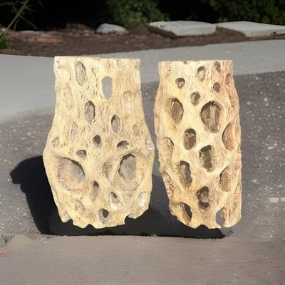 5 pcs of 4" inch TEDDY BEAR CHOLLA Wood Cactus | Aquarium, Terrarium Cave Tunnel - Image 1 of 2