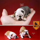 Mr.Z 2Pcs British Bulldog Couple Bull Dog Pet Figure Animal Toy Collector Gift