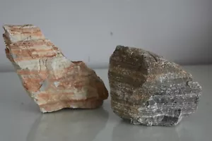 Natürliches Aquarium mehrschichtiges Gestein x 2 für Süßwasser & Meeresfische Vivarium 1F - Bild 1 von 3