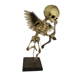 Vintage Cupid Skeleton Fetus Angel Oddity Valentine's Day Medical Model Gaff OS - Picture 1 of 4