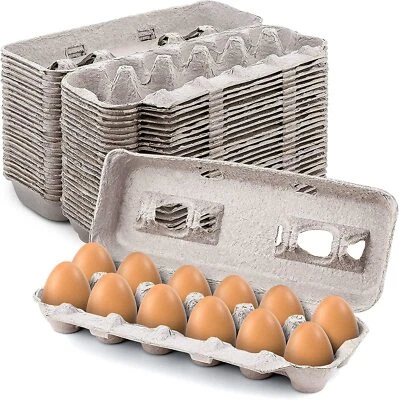 MT Products Blank Natural Pulp Paper Egg Cartons | Holds 12 Eggs - Pack of 15