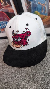 Chicago Bulls BMO Snapback Mütze Cap Artist Series Antonio Ainscough SGA Melonwear - Bild 1 von 12