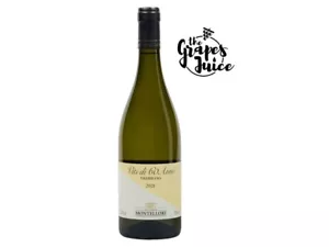 FATTORIA MONTELLORI VITI DI 60 ANNI TREBBIANO 2021 VINO BIANCO BIO TOSCANA IGT - Bild 1 von 1