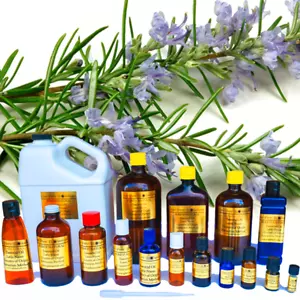 Rosemary Essential Oil 100% PURE NATURAL - Sizes 3ml to 3 Gallons -Aromatherapy - Picture 1 of 19