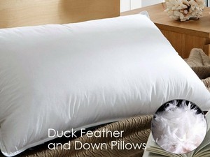 duck and down pillows