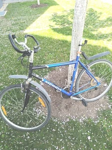 trekking fahrrad 28 zoll herren gebraucht - Bild 1 von 9