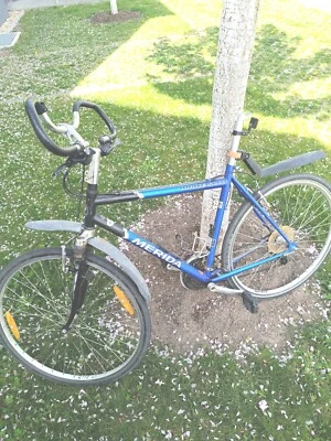 trekking fahrrad 28 zoll herren gebraucht - Bild 1 von 4