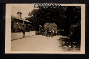 Exbury, cosecha con caballo y carro - cerca de Fawley - postal fotográfica real - Imagen 1 de 1