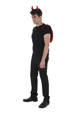 Набор карнавальных платьев унисекс Zac's Alter Ego® с дьявольскими рогами и перьями и крыльями - Изображение 1 из 3