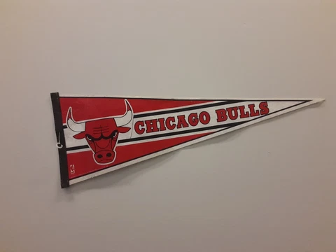 Chicago Bulls NBA Pennant By Tag Express 1991 Cover