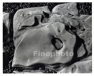 1939 Vintage EDWARD WESTON Point Lobos Beach Eroded Rock Detail Photo Engraving - Picture 1 of 1