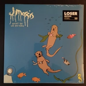J MASCIS - What Do We Do Now LP - LOSER 1st Pressing Colored Vinyl - Dinosaur Jr - Picture 1 of 3